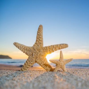 Giugno a Rimini € 60.00 a persona al giorno Tutto incluso!! - main